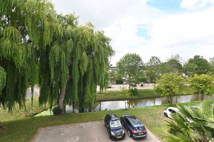 Foto 44 van Witbol 27