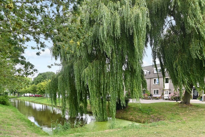 Foto 54 van Witbol 27