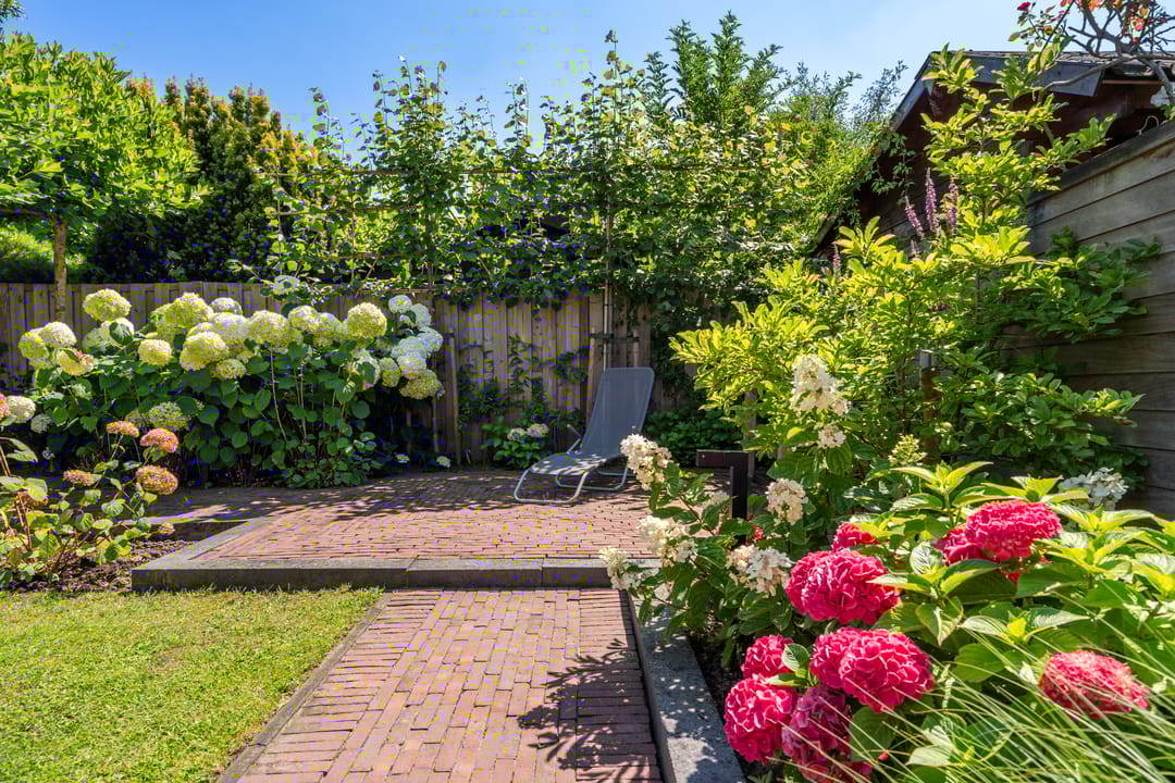 Photo 31 of Schepenen 48