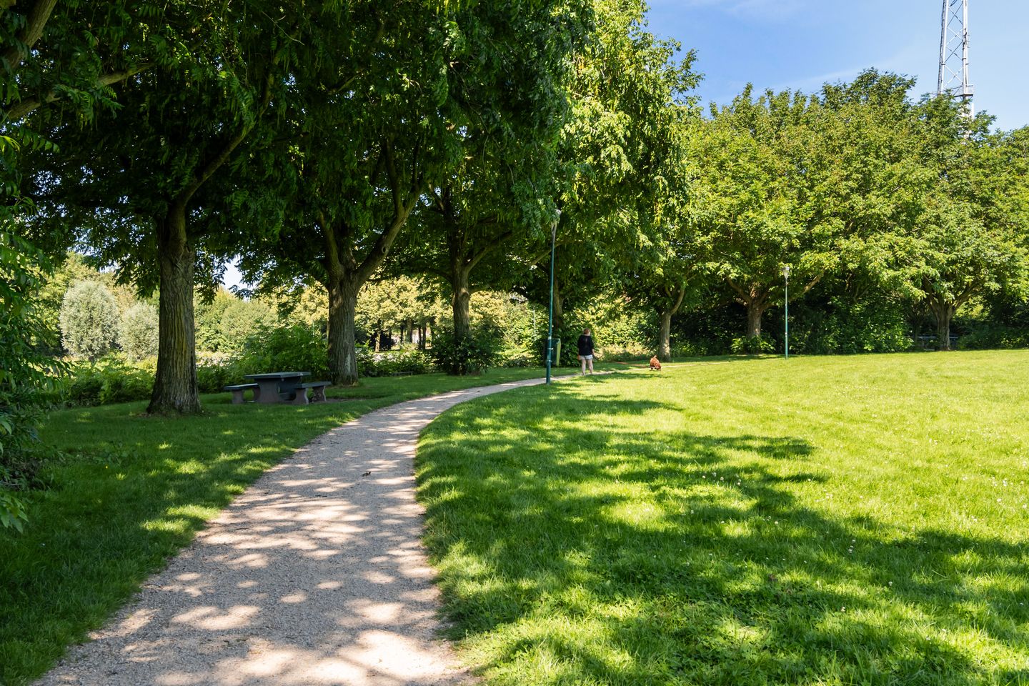 Photo 64 of Schepenen 48