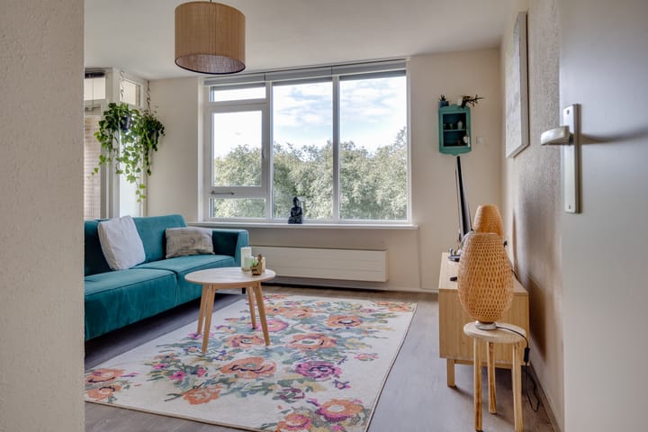 Foto 3 van Springerstraat 71