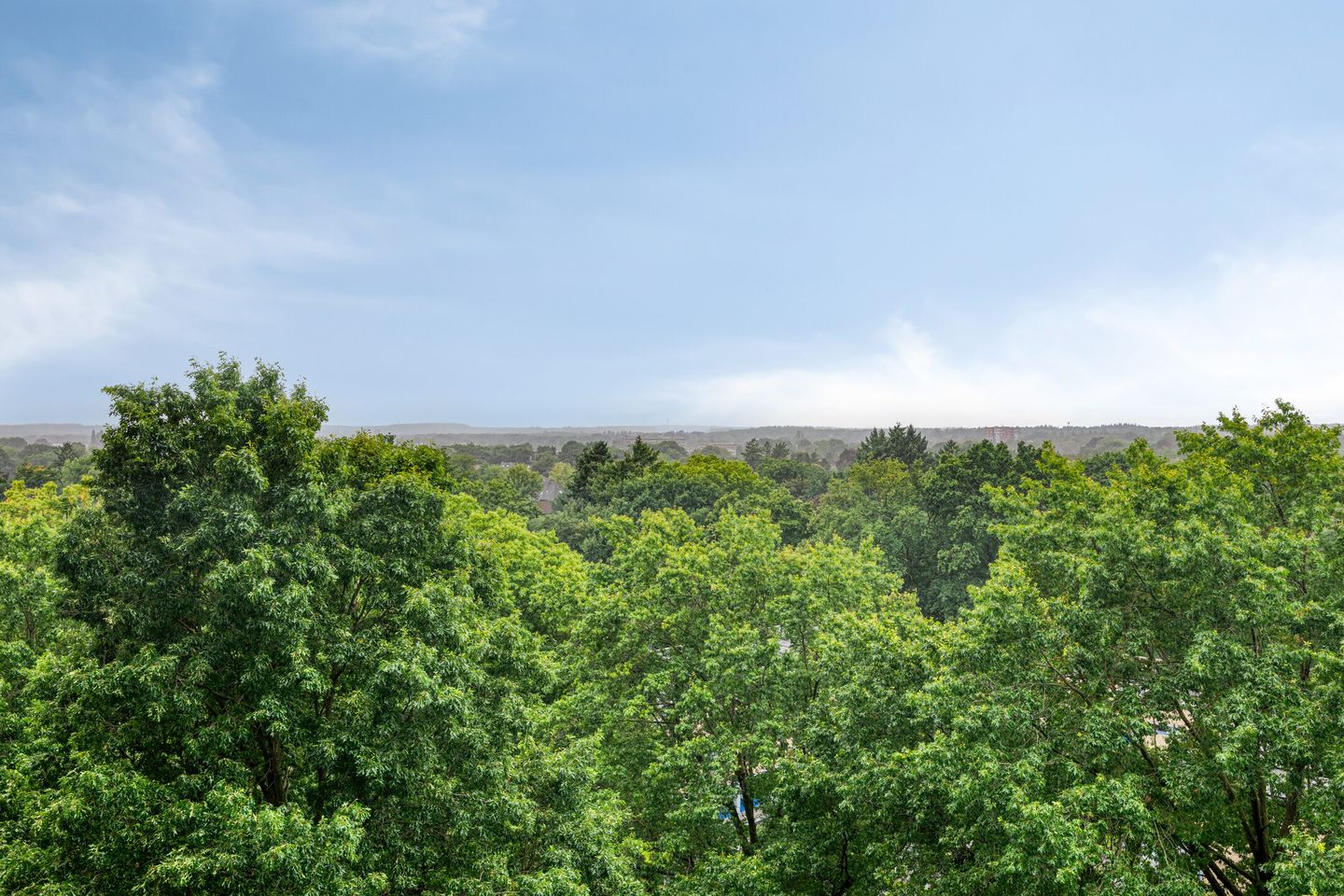 Foto 19 van Henri Dunantlaan 111