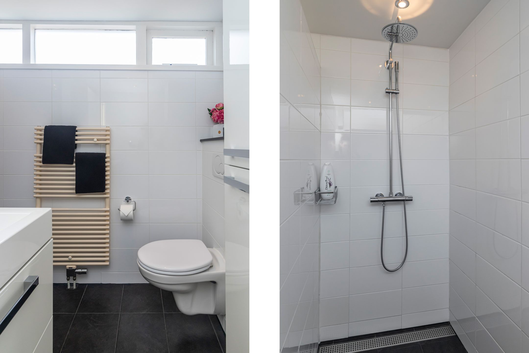 Photo 39 of Molenstraat 220