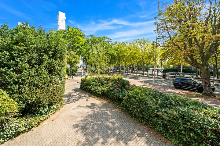 Foto 12 van De Carpentierstraat 135