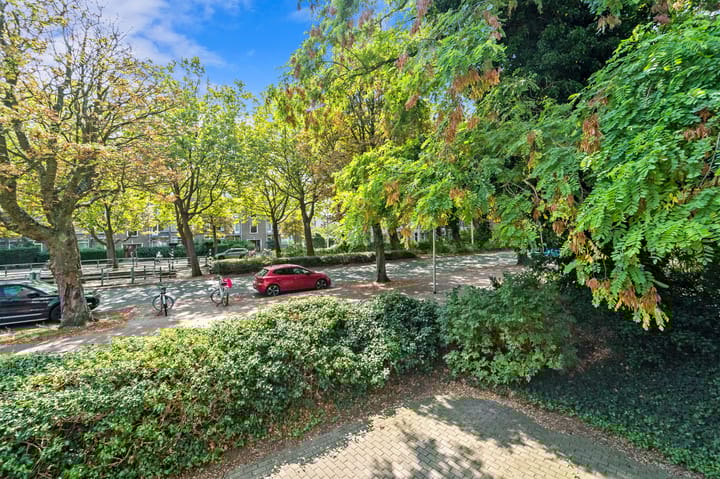 Foto 13 van De Carpentierstraat 135