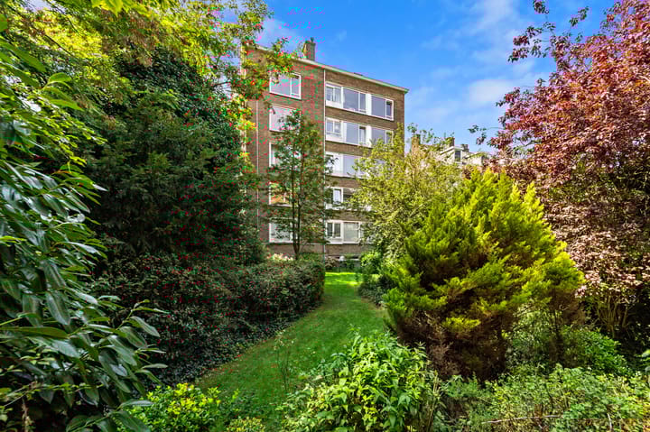 Foto 17 van De Carpentierstraat 135