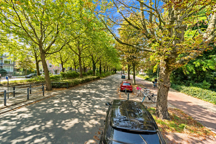 Foto 27 van De Carpentierstraat 135