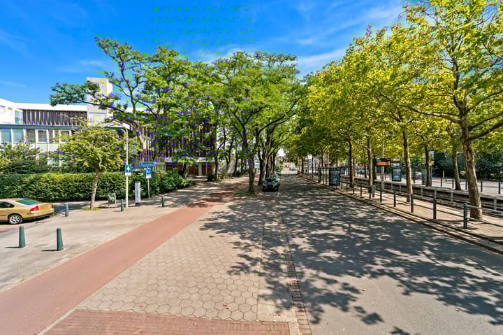 Foto 26 van De Carpentierstraat 135