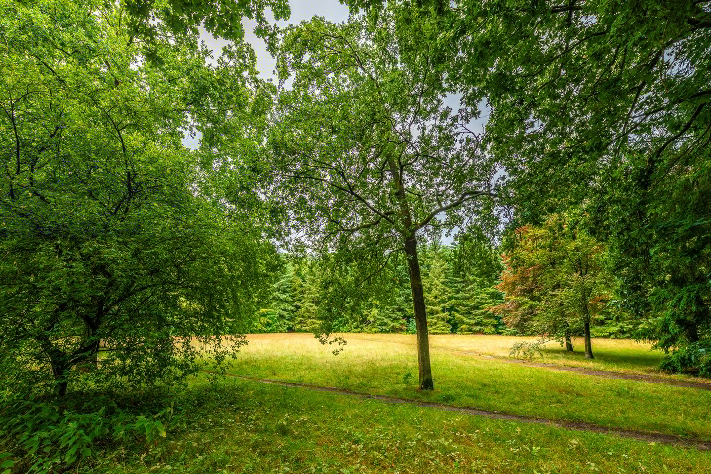 Foto 25 van Park Sparrendaal 81