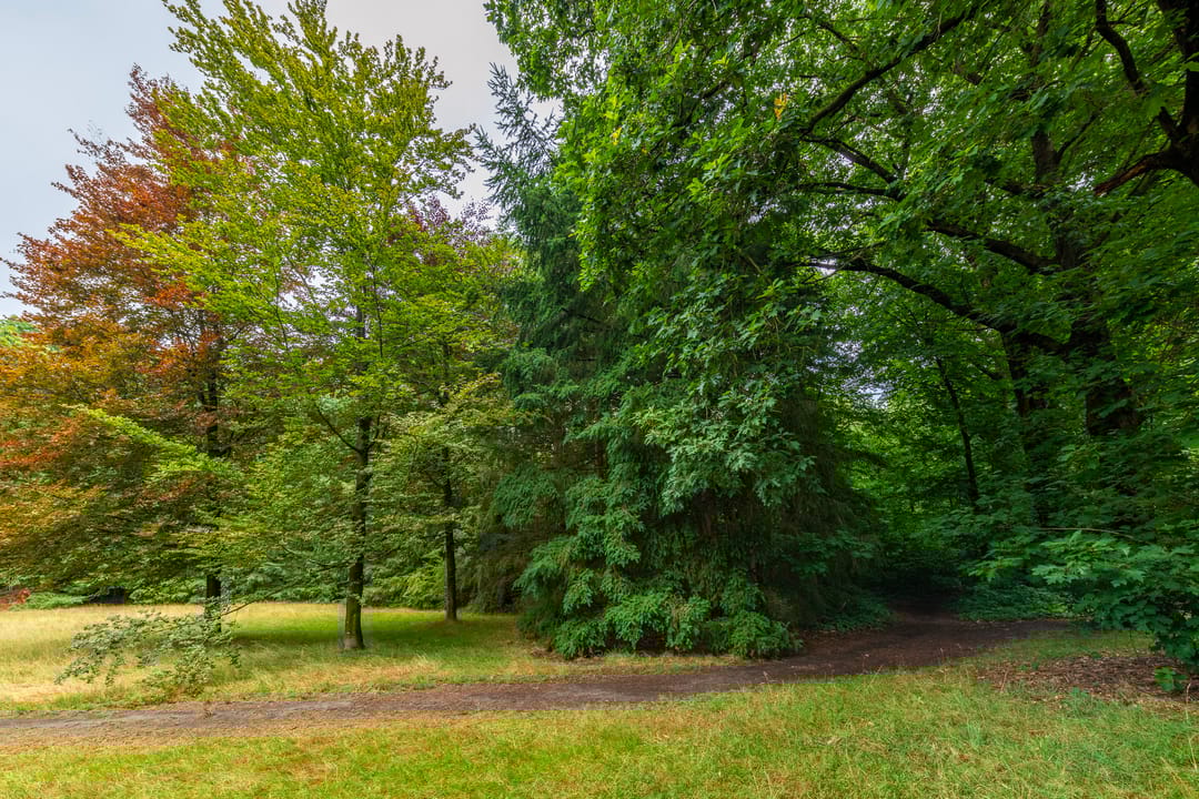 Foto 26 van Park Sparrendaal 81