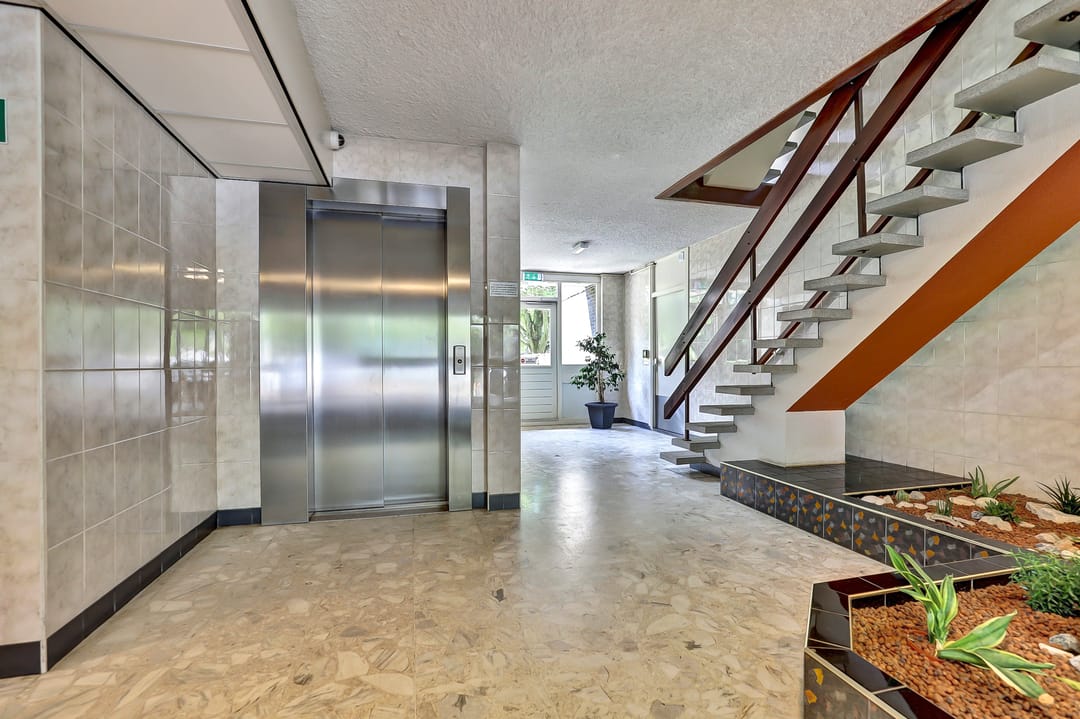 Foto 7 van Seringenplantsoen 547