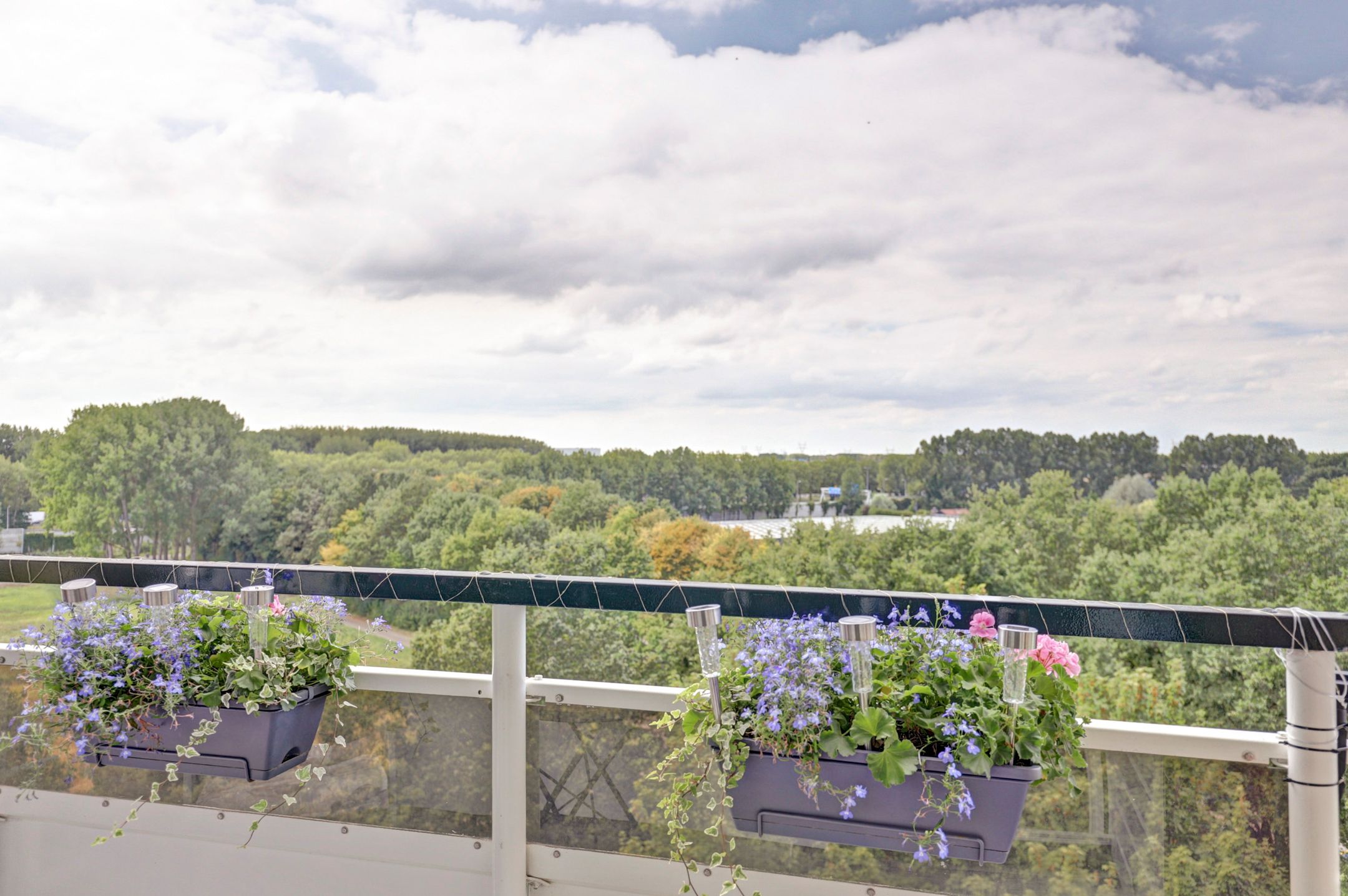 Foto 27 van Seringenplantsoen 547