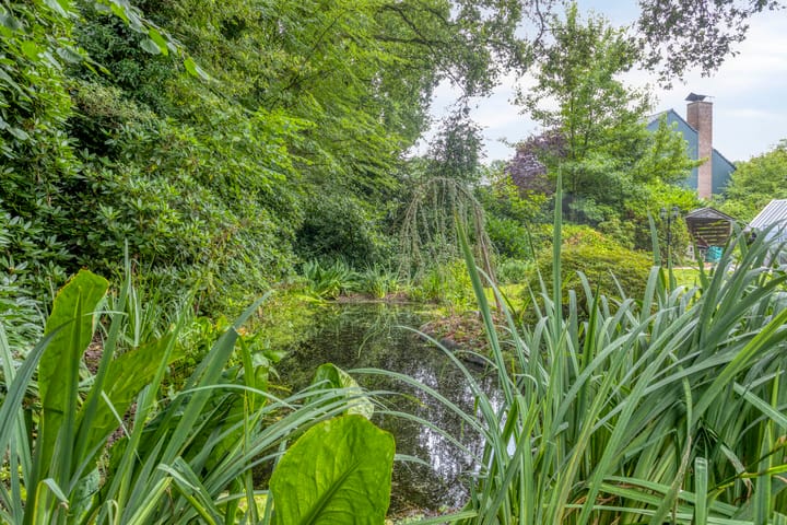 Foto 47 van Wolferlanden 12