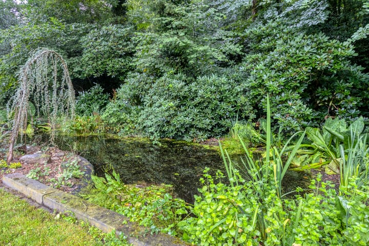 Foto 48 van Wolferlanden 12