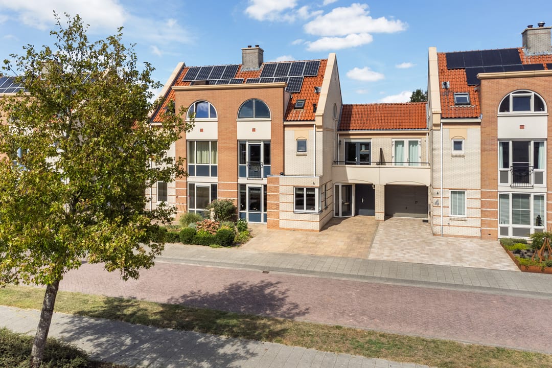 Photo 1 of Bacchus 6