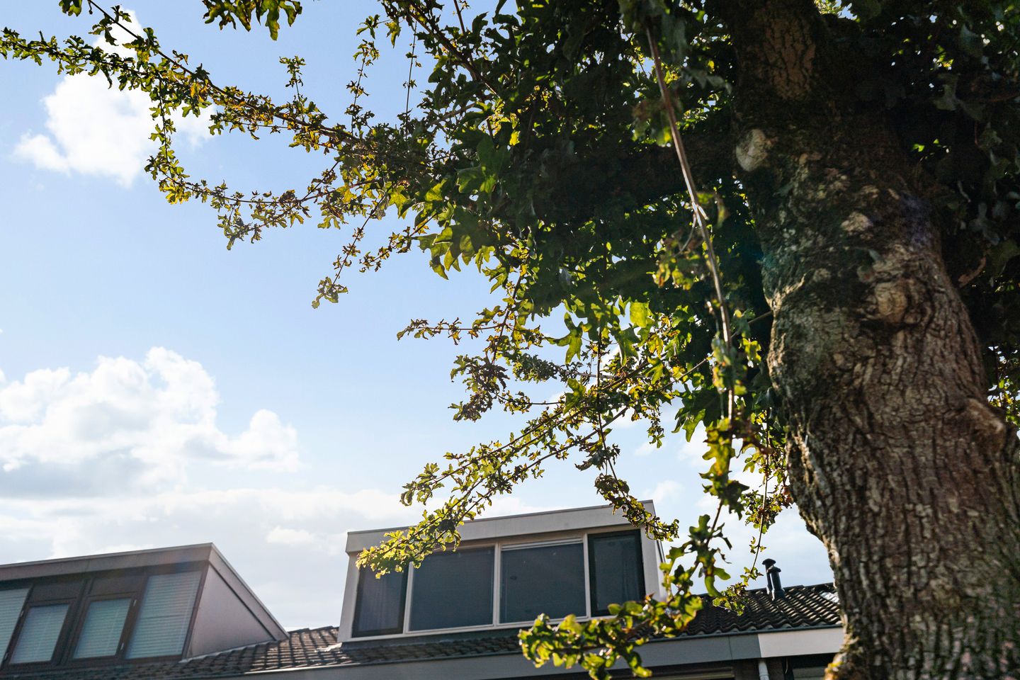 Foto 10 van Grashof 28