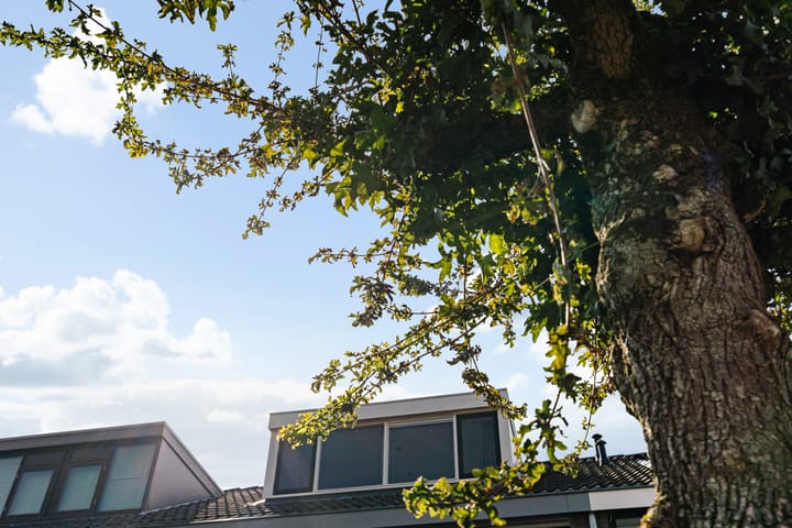 Foto 10 van Grashof 28