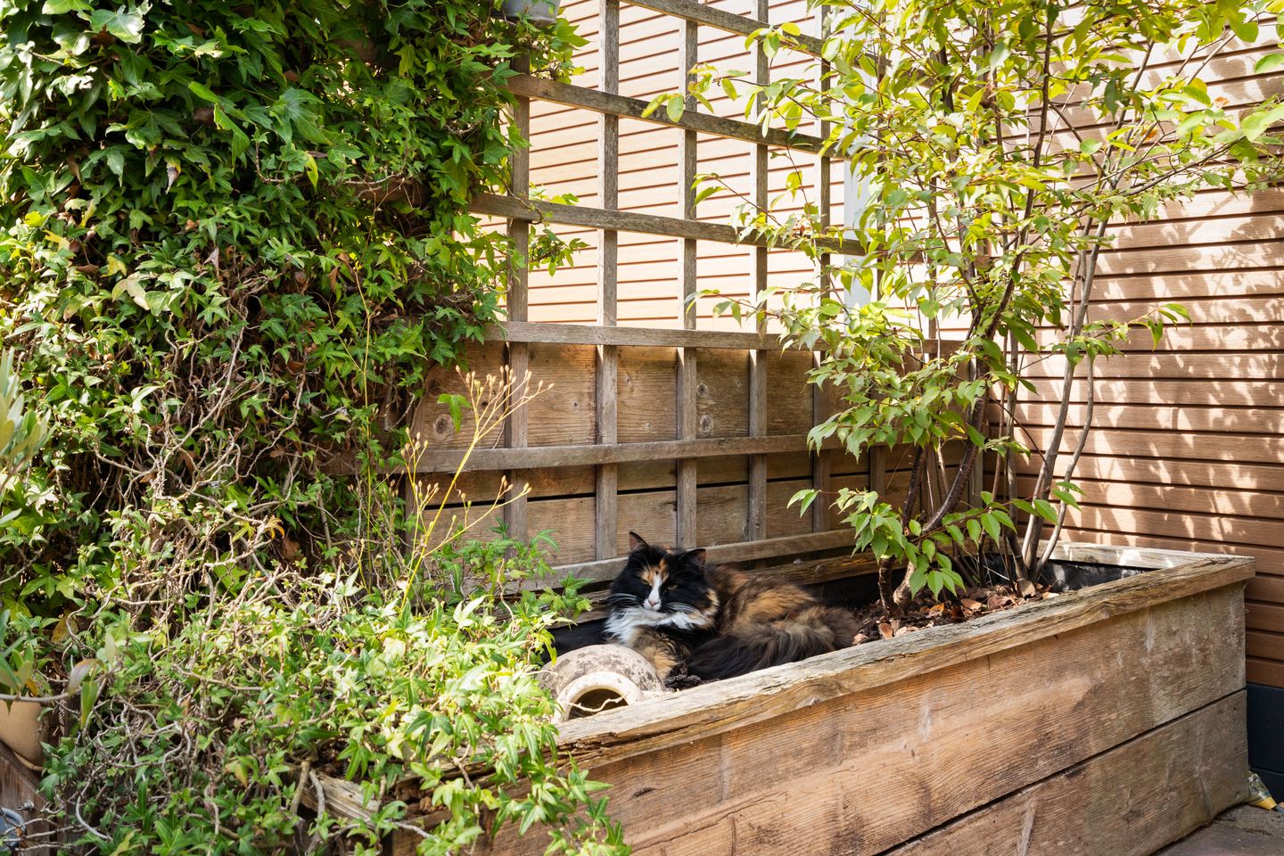 Foto 25 van Grashof 28