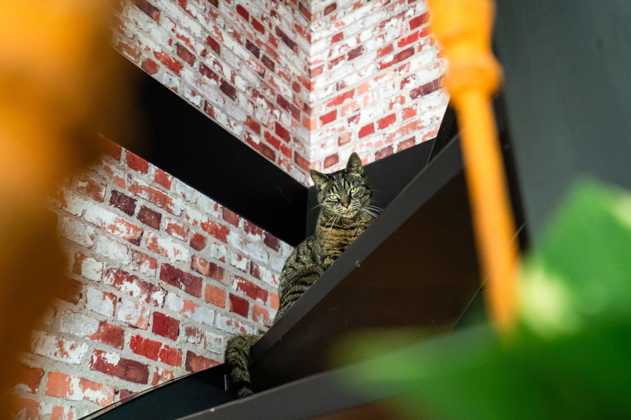 Foto 45 van Grashof 28