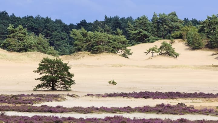 Foto 8 van Parallelweg 26-234