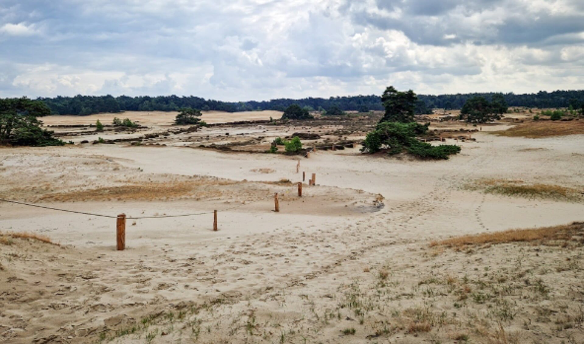 Photo 9 of Parallelweg 26-234