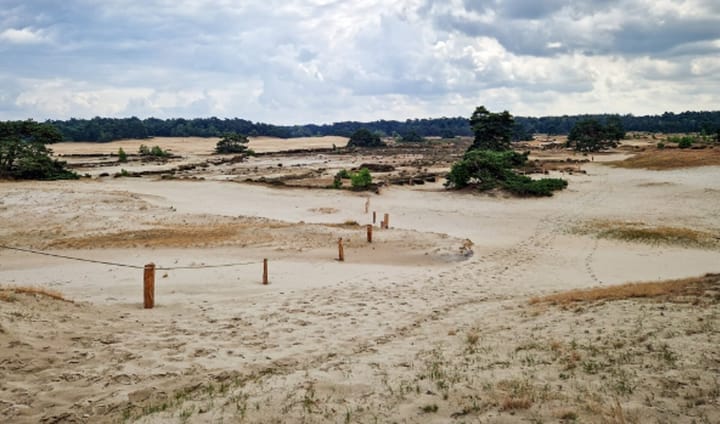 Foto 9 van Parallelweg 26-234