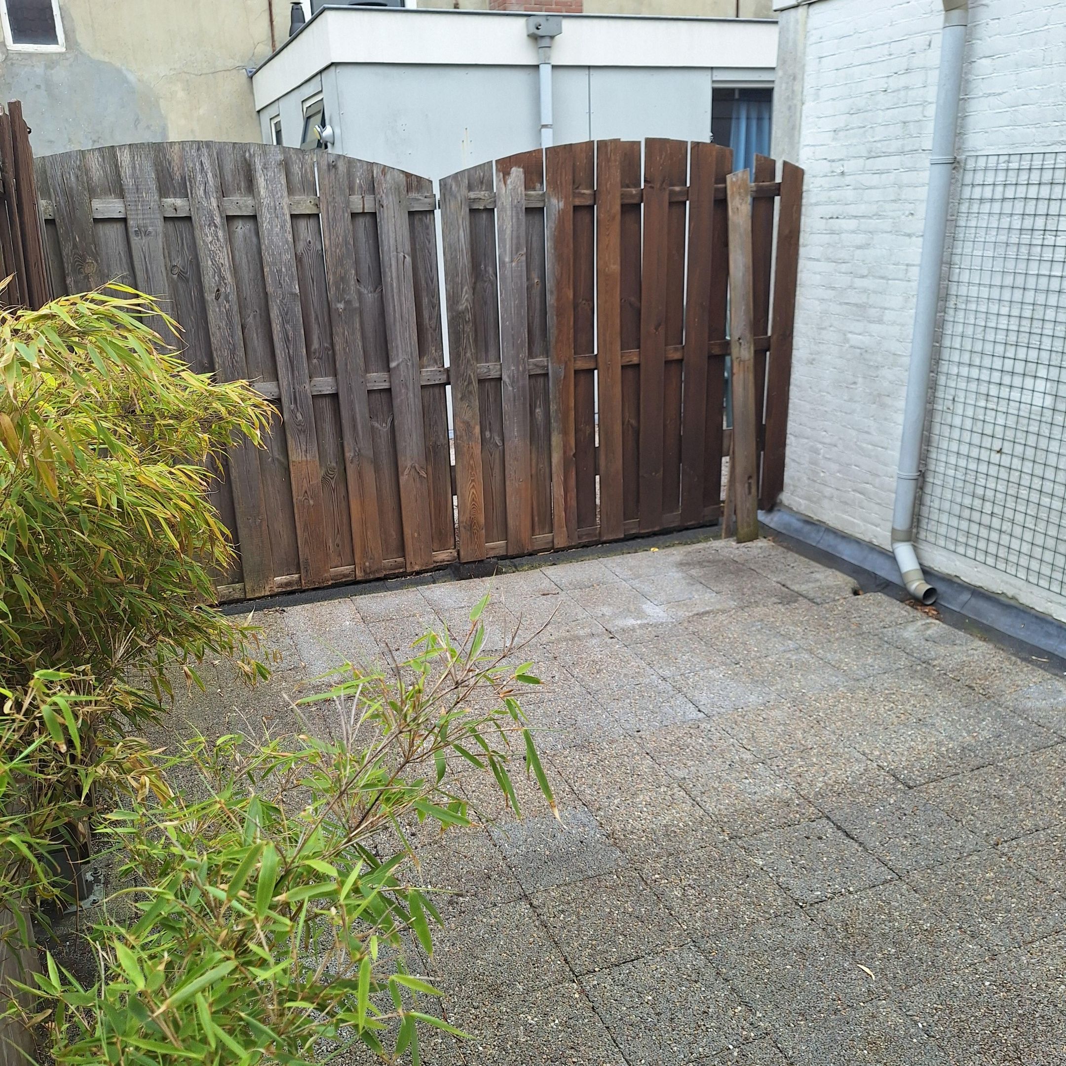 Foto 18 van Koornmarkt 99