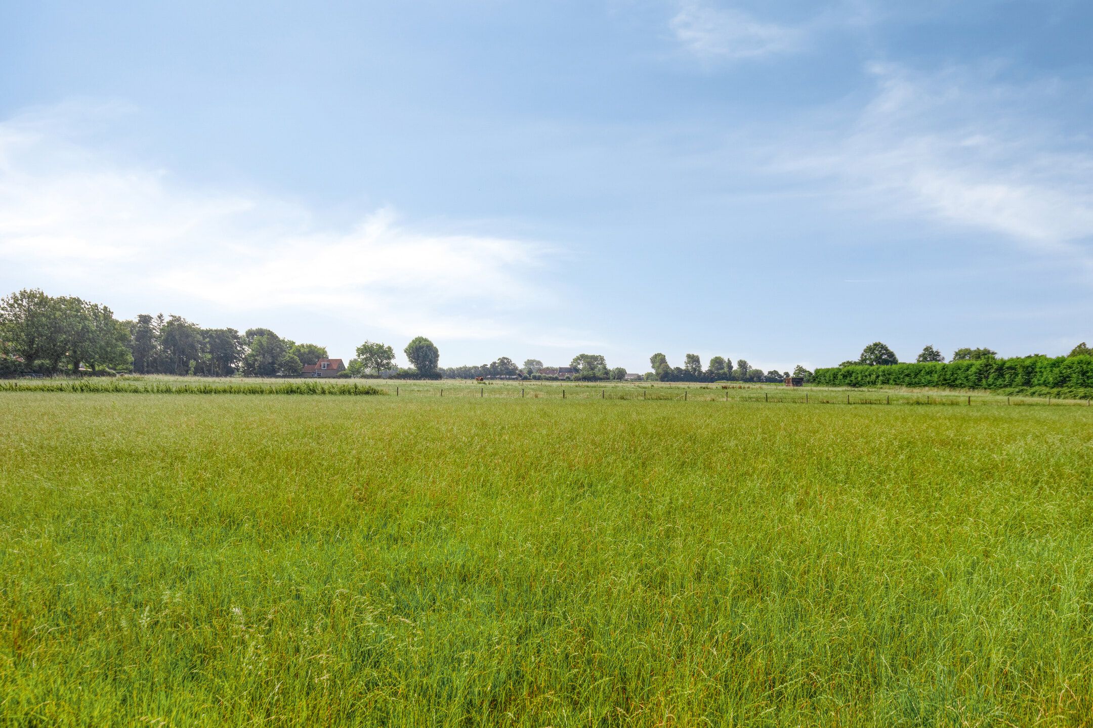 Foto 39 van Vronesteijn 18