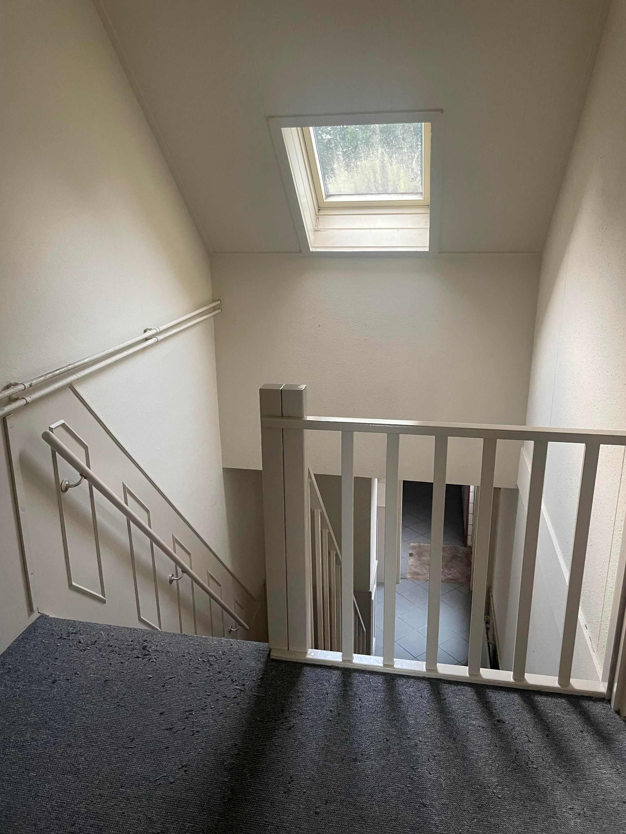 Photo 12 of Krabbescheer 14