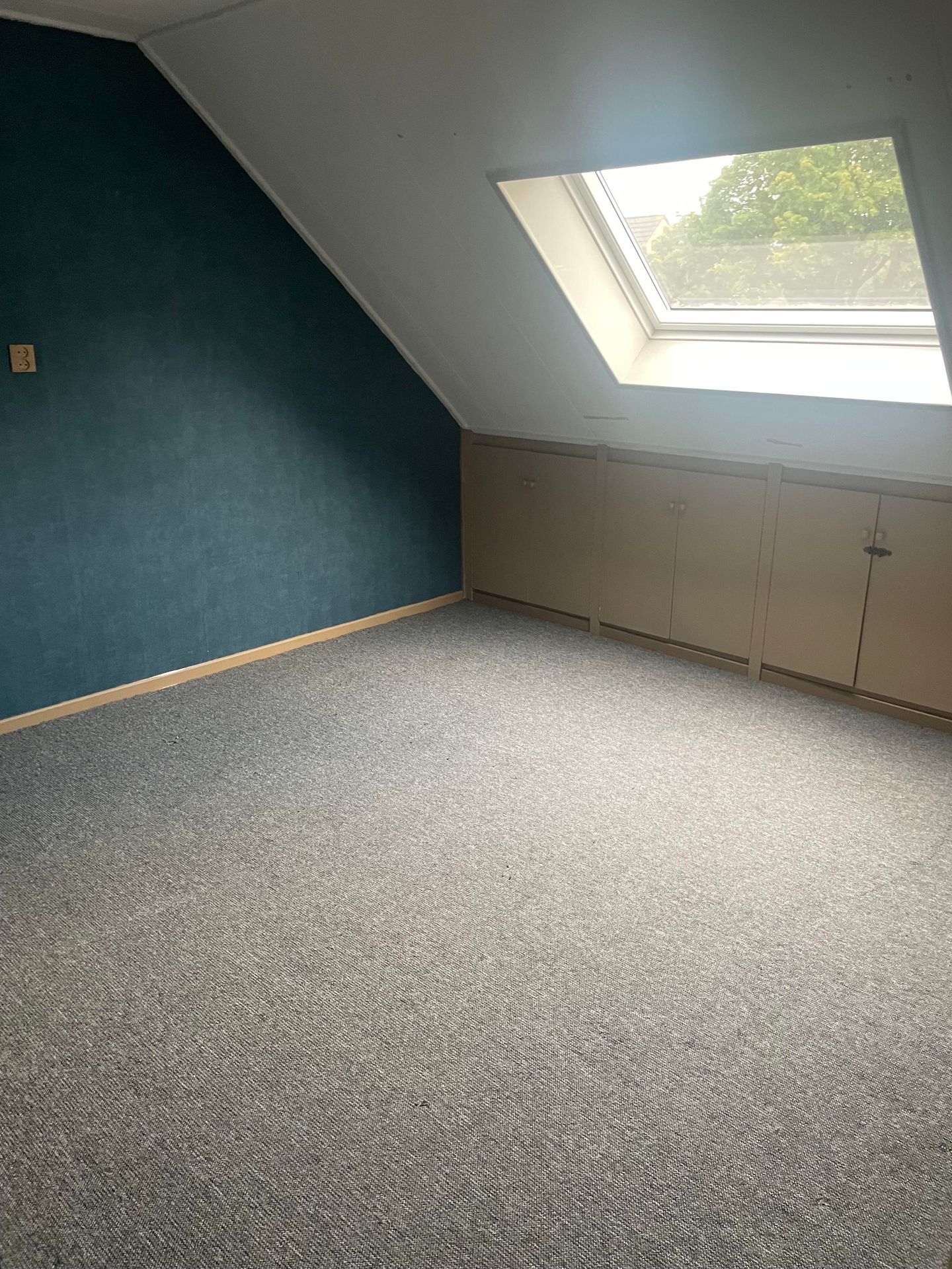 Photo 14 of Krabbescheer 14