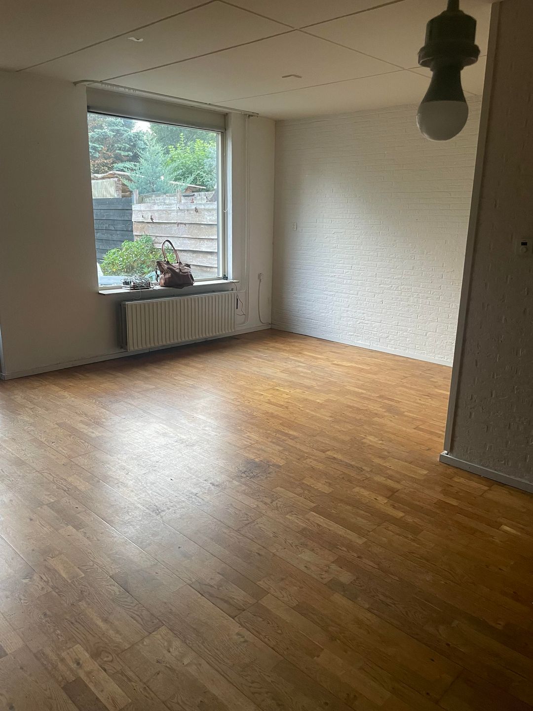 Photo 16 of Krabbescheer 14