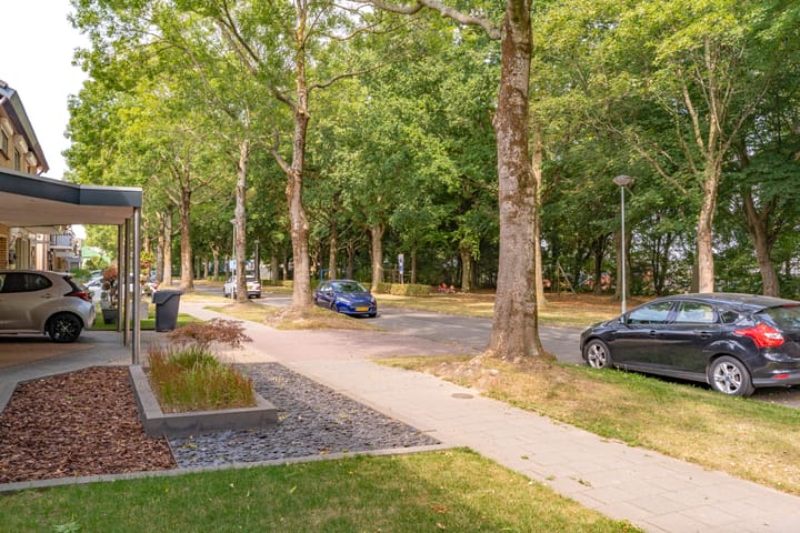 Photo 46 of Doctor Schaepmanlaan 57