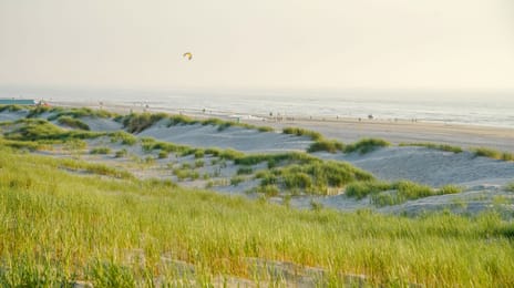 Foto 4 van Kavels Achter de Duinen fase 4