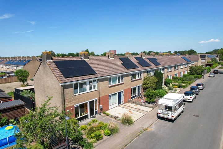 Foto 2 van Ratelaar 1