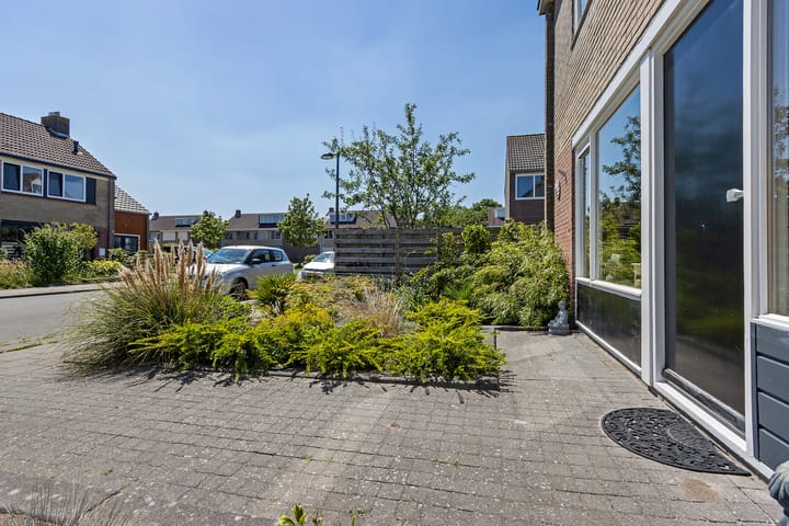 Foto 8 van Ratelaar 1