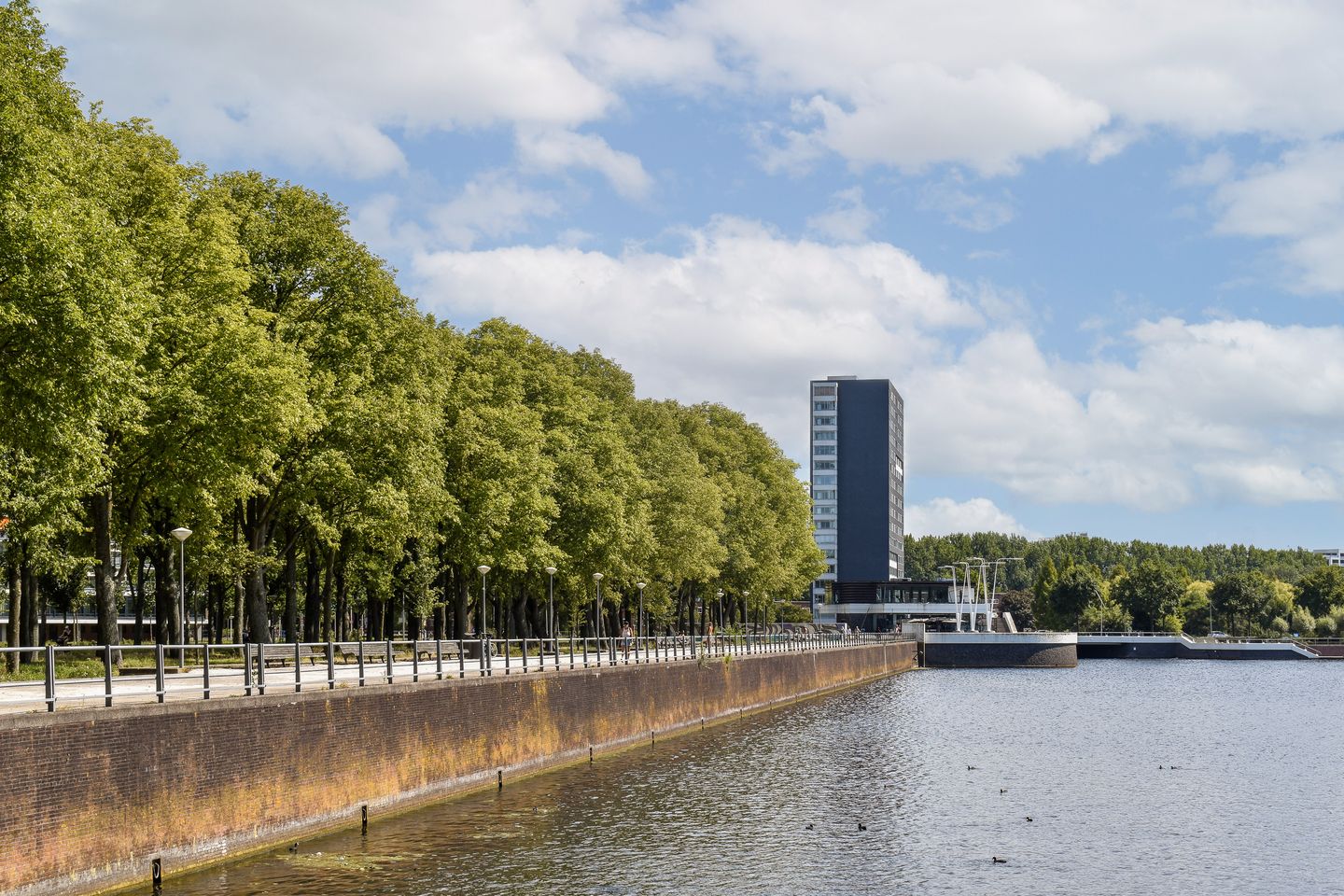 Foto 25 van Burgemeester Hogguerstraat 271