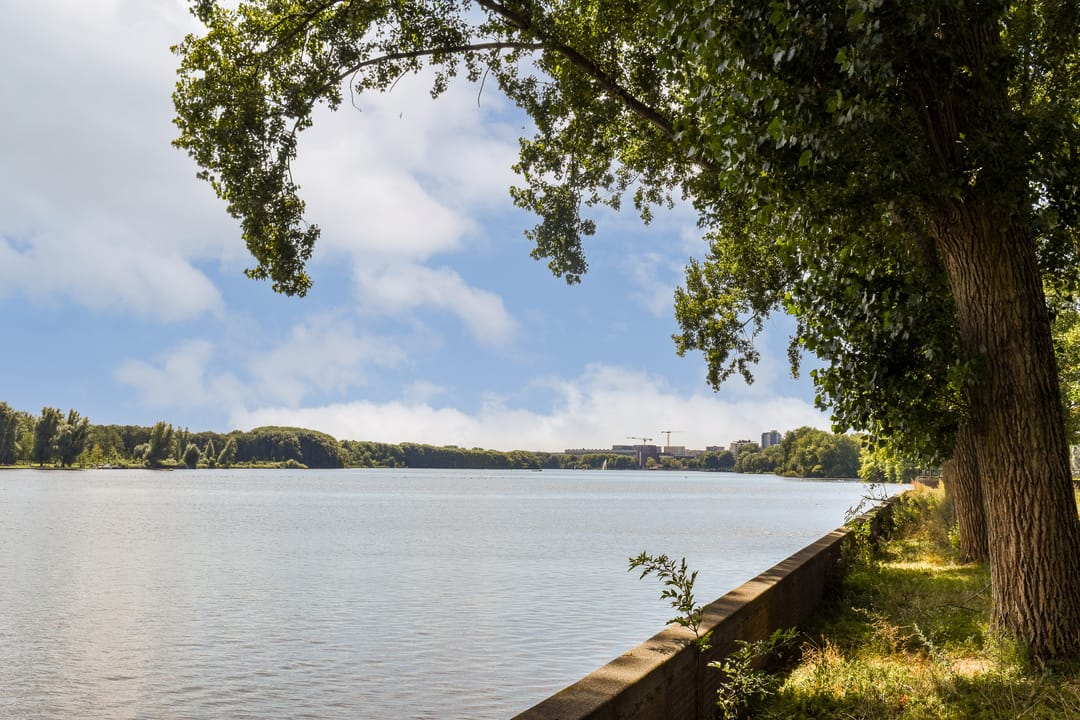 Foto 26 van Burgemeester Hogguerstraat 271