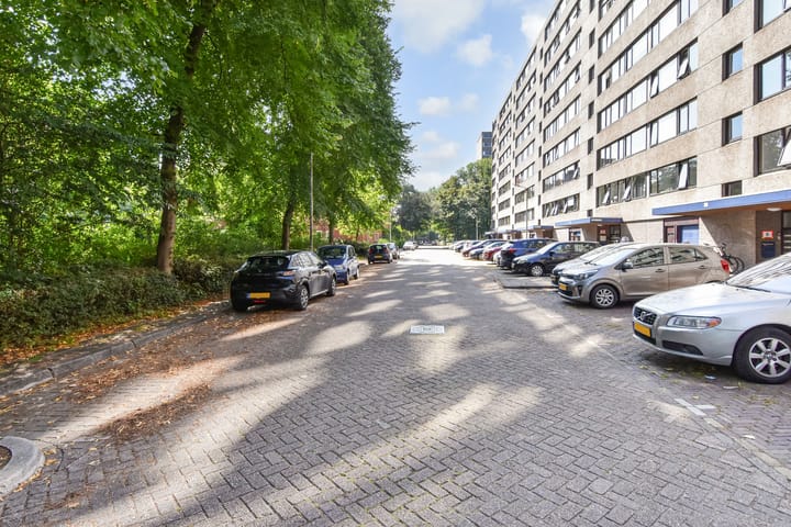 Photo 6 of Roland Holstlaan 974