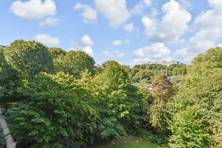 Photo 27 of Roland Holstlaan 974