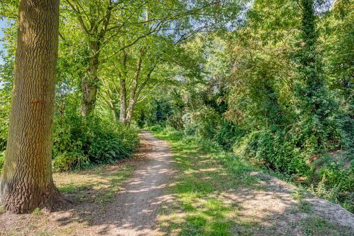 Foto 35 van Heinencamp 30