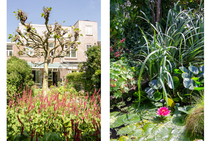 Foto 22 van Schoterbosstraat 9