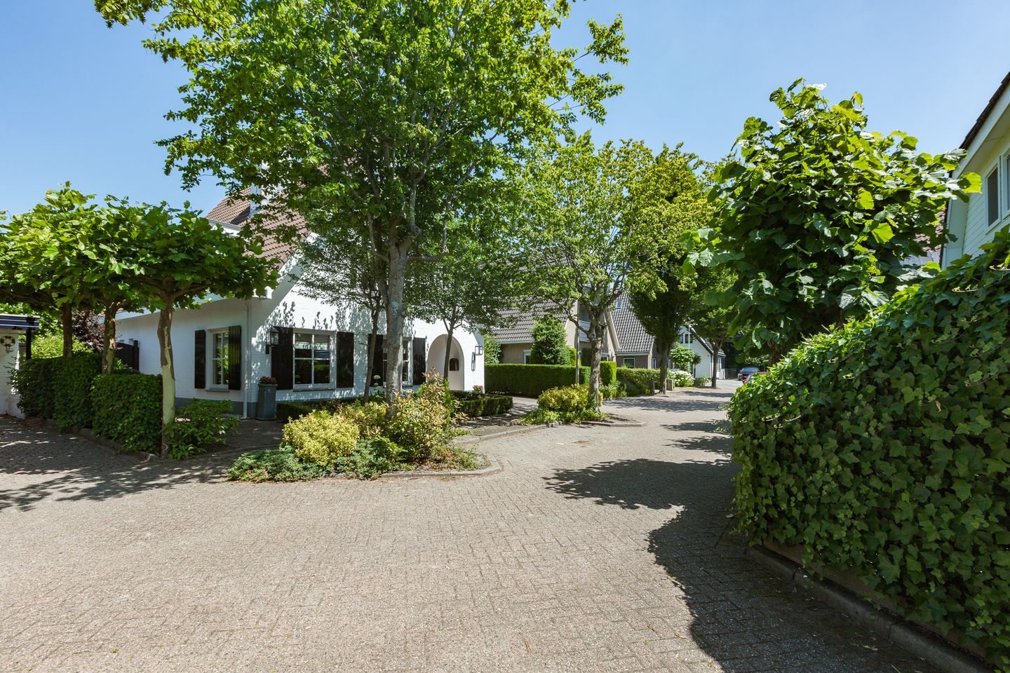 Photo 5 of Beukenlaan 221