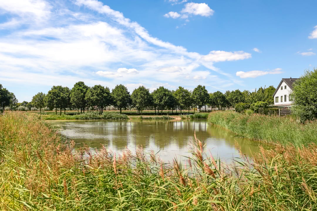 Foto 73 van Kamperfoeliestraat 41