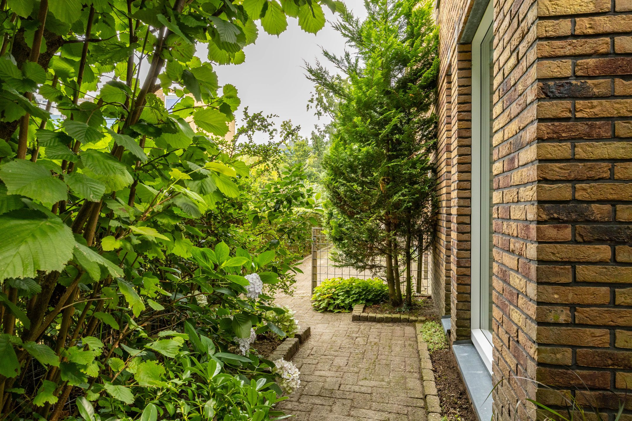 Foto 51 van Hora Siccamasingel 135