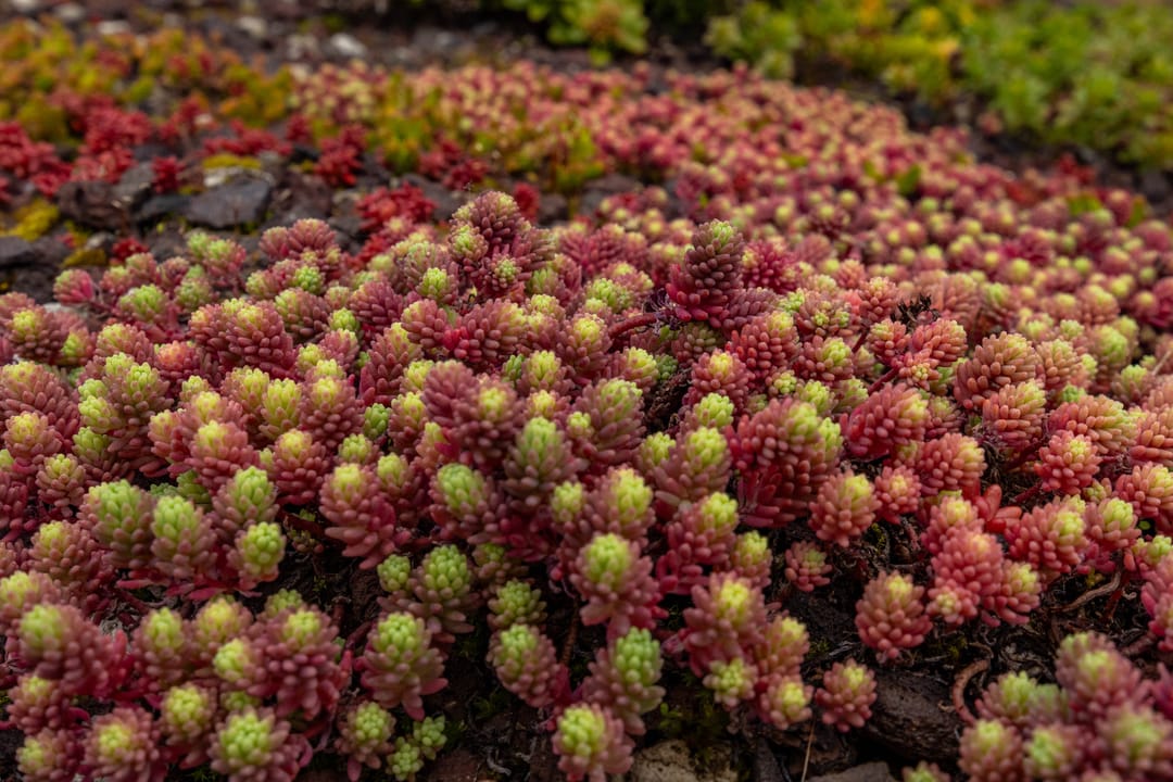 Foto 53 van Hora Siccamasingel 135