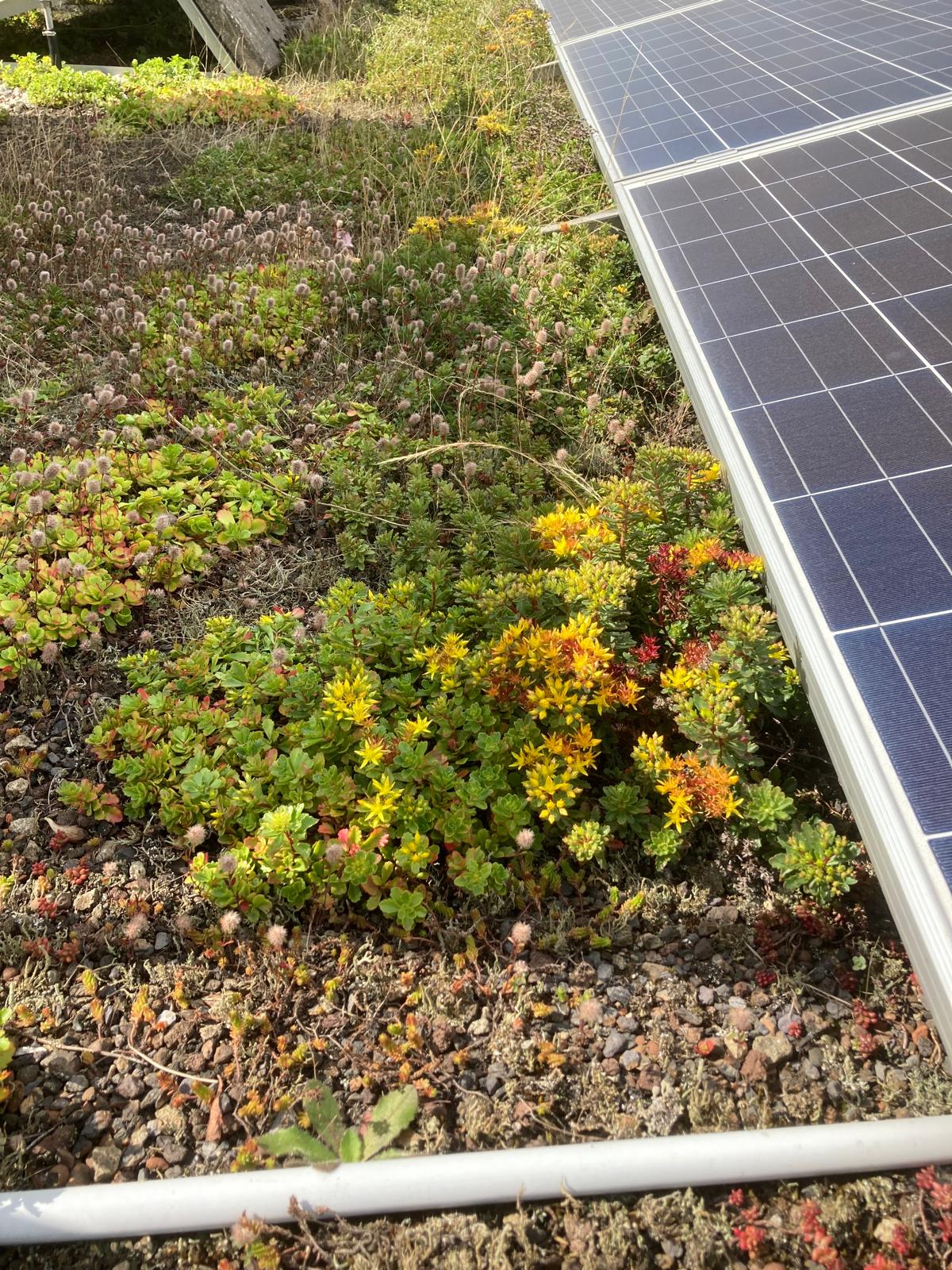 Foto 57 van Hora Siccamasingel 135