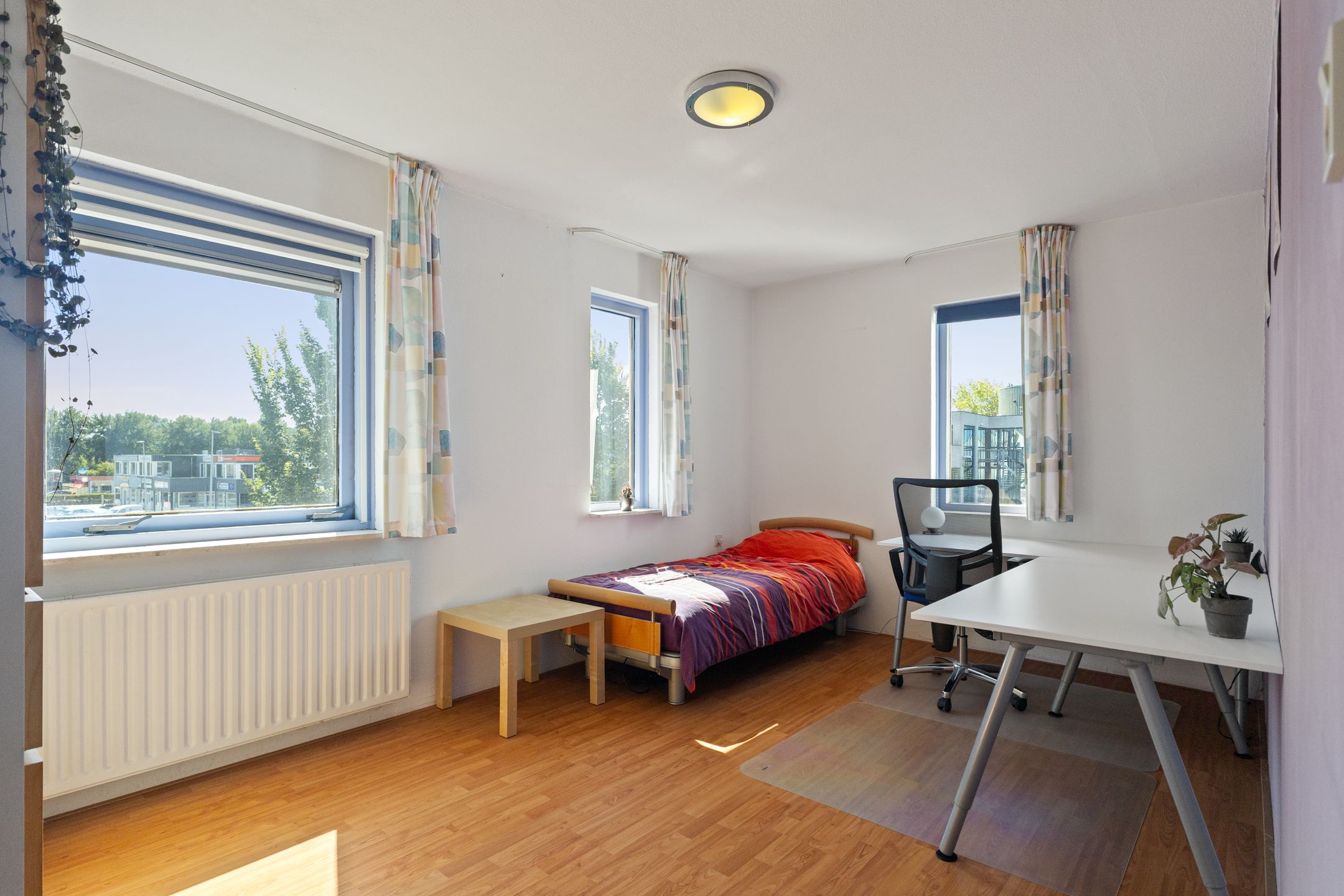 Photo 21 of Orion 17