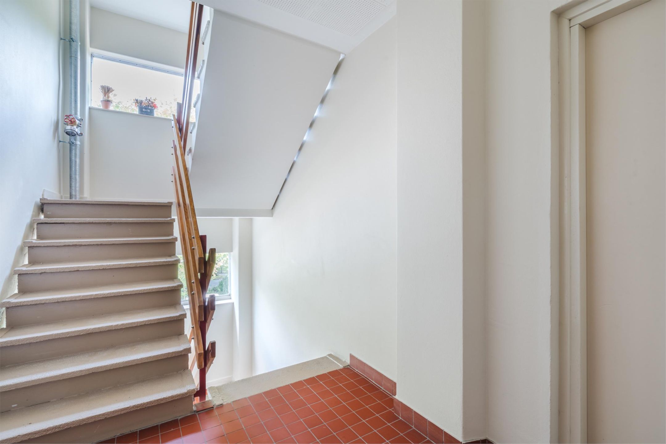 Foto 42 van Veenbesstraat 558