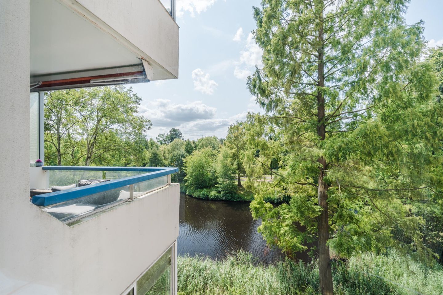 Foto 44 van Veenbesstraat 558