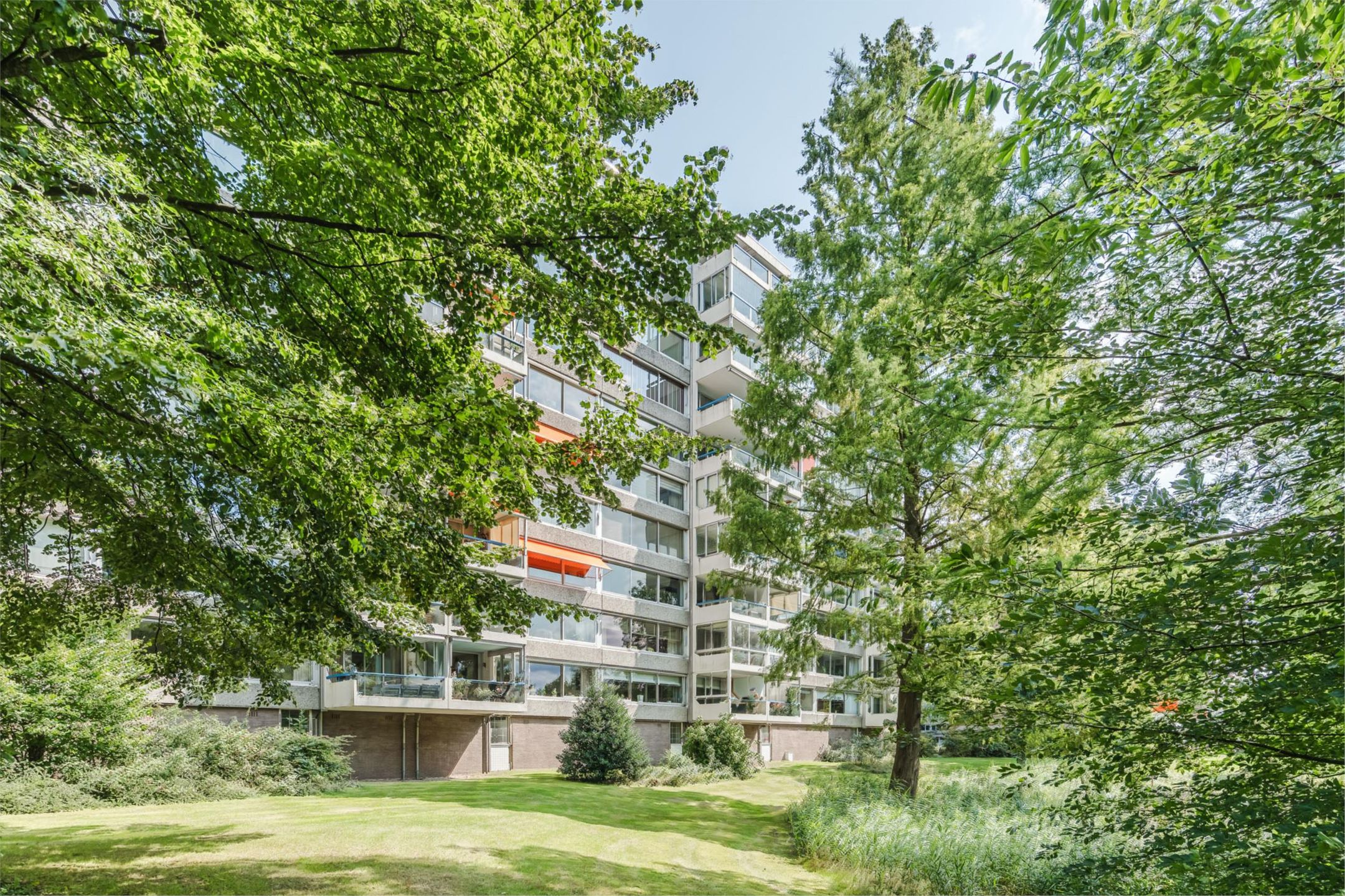 Foto 45 van Veenbesstraat 558